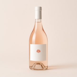 Rosé de Provence 2024